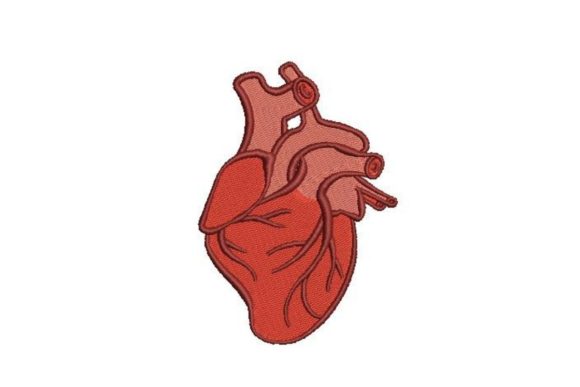 Anatomically Correct Heart Embroidery Review