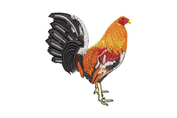 Colorful Rooster Embroidery Review
